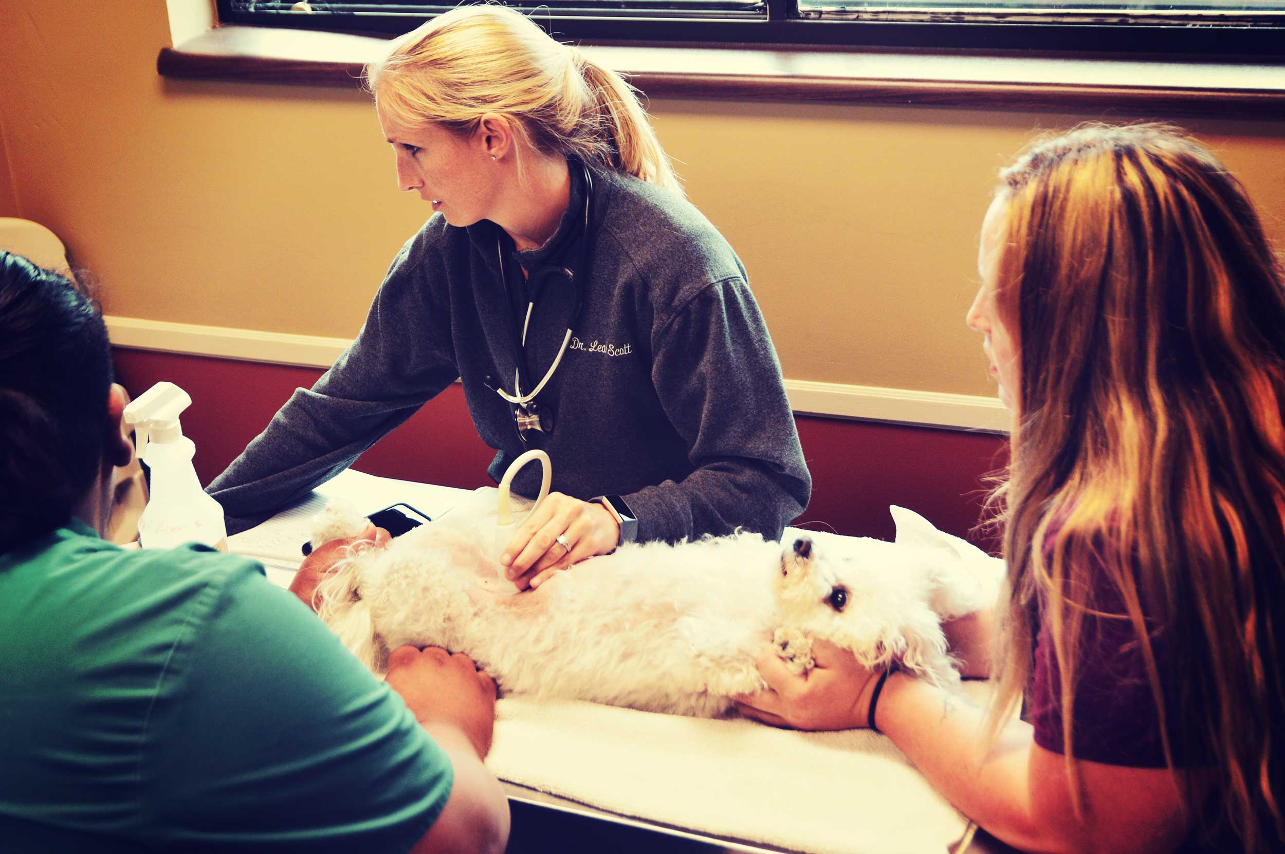 Animal Care Clinic Huntsville, AL Veterinary Clinic