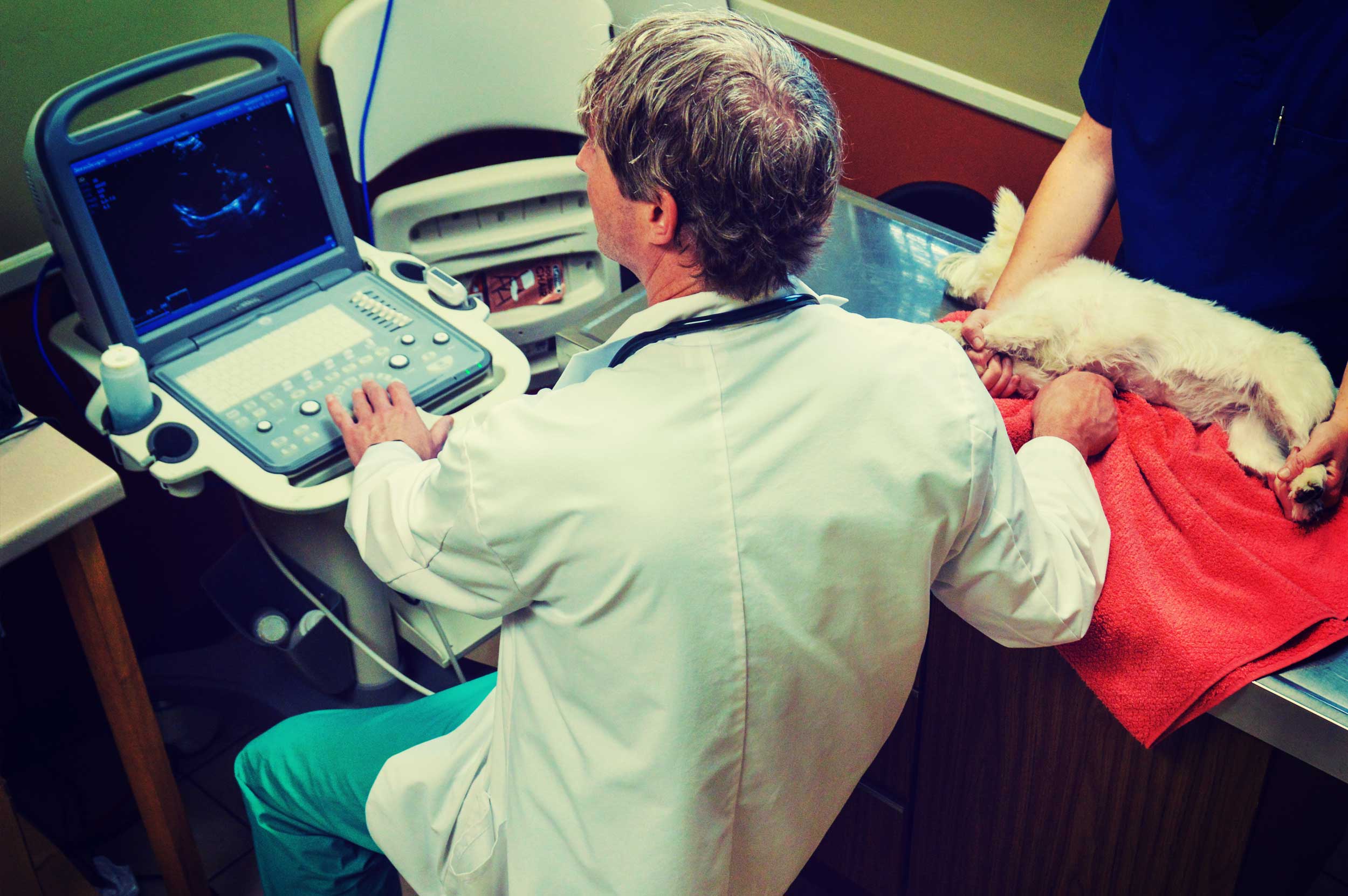 Animal Care Clinic - Huntsville, AL Veterinary Clinic Animal Care Clinic - Huntsville, AL Veterinary Clinic