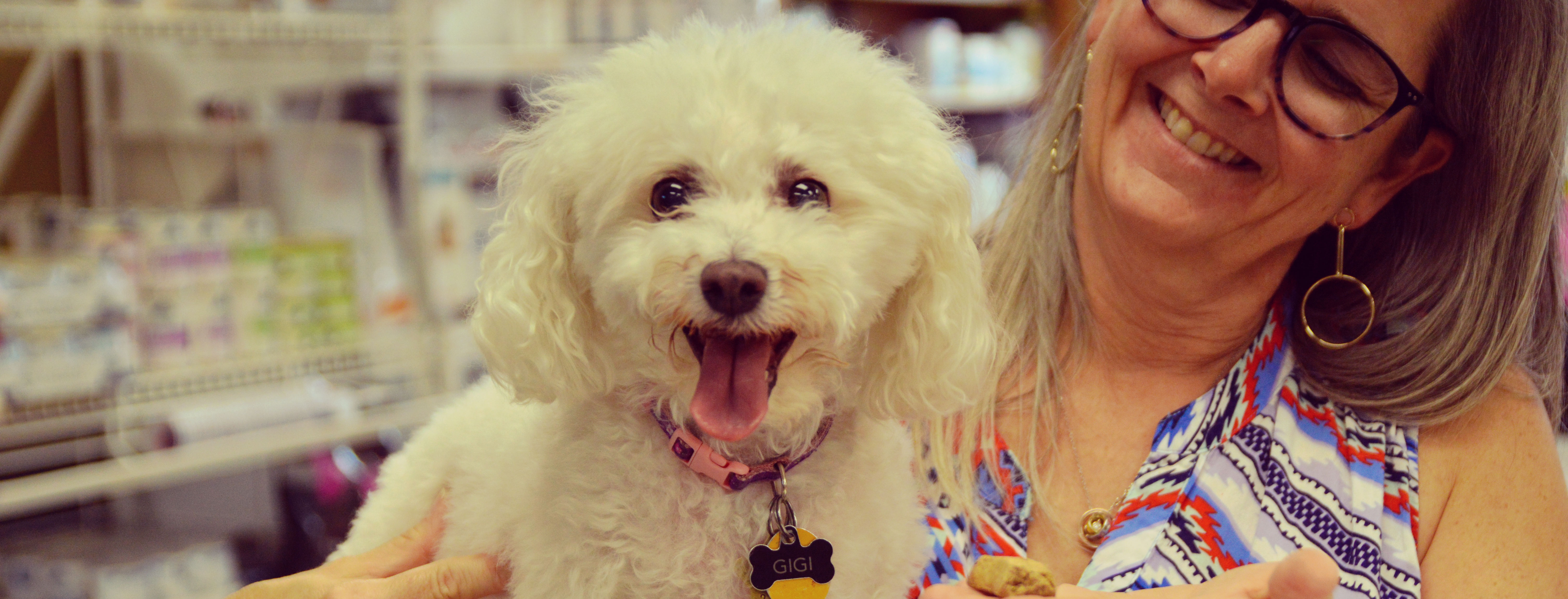 Animal Care Clinic Huntsville, AL Veterinary Clinic