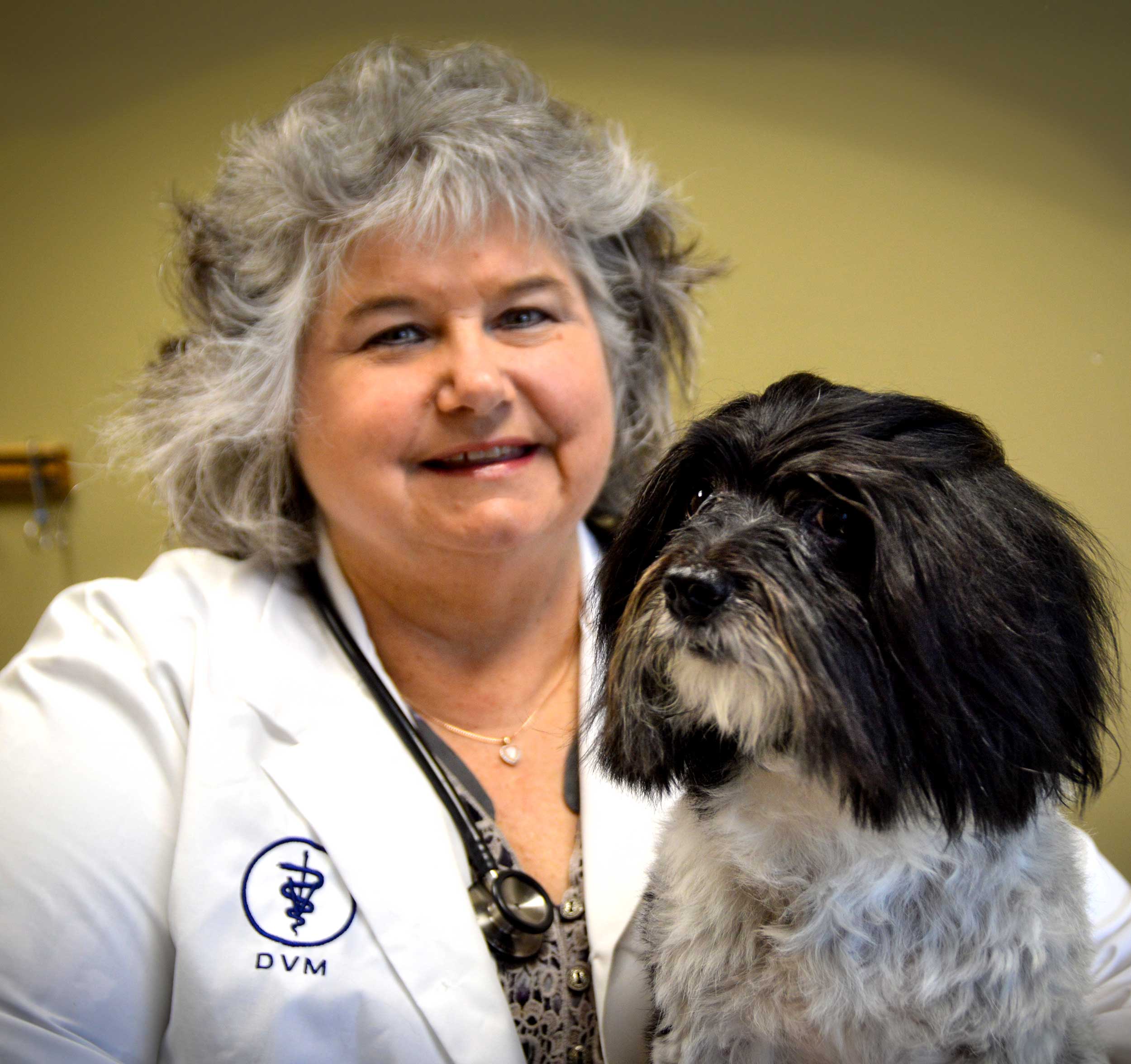 Urgent Care Huntsville Al South Parkway / Animal Care