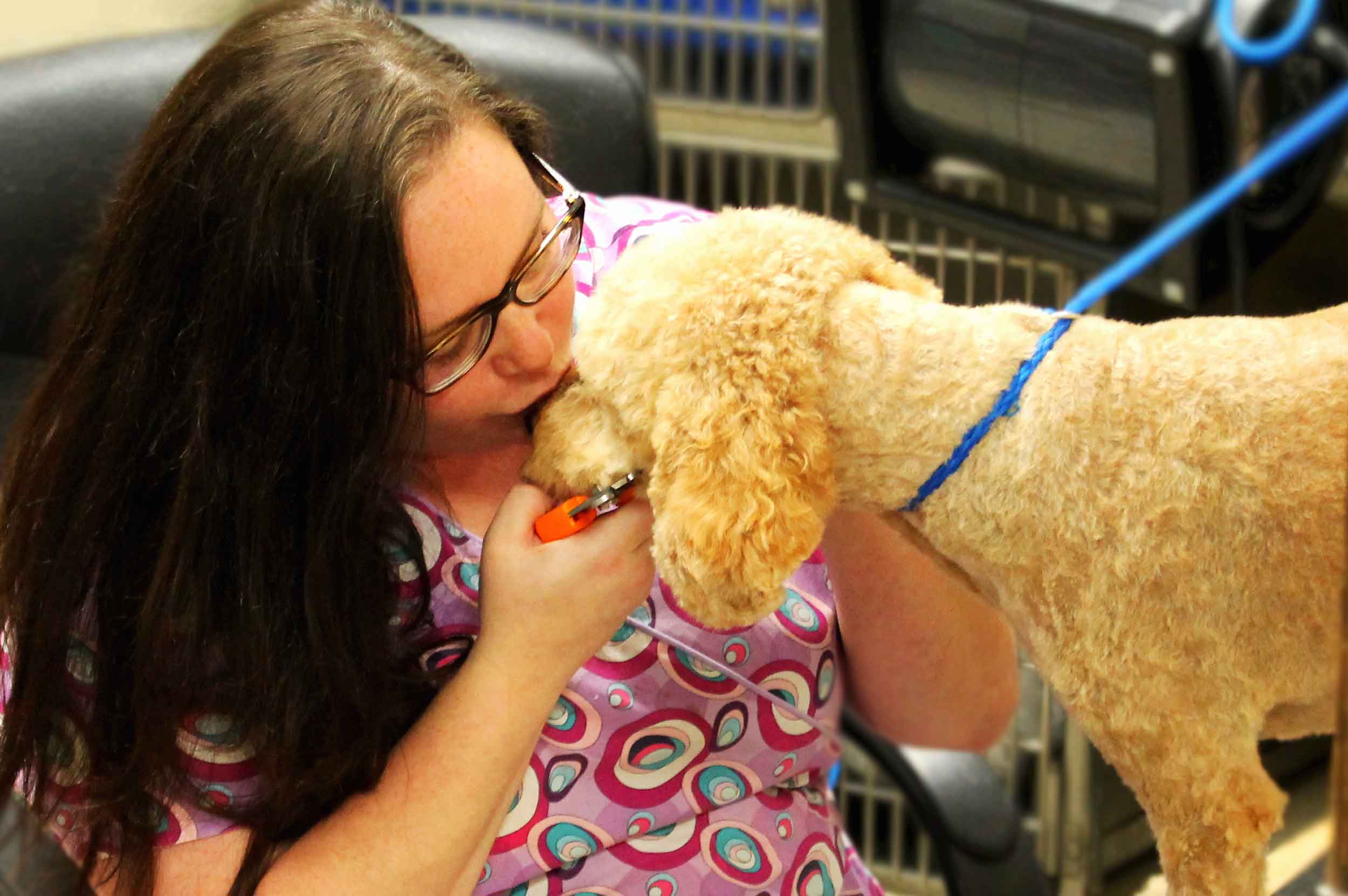 Animal Care Clinic Huntsville, AL Veterinary Clinic